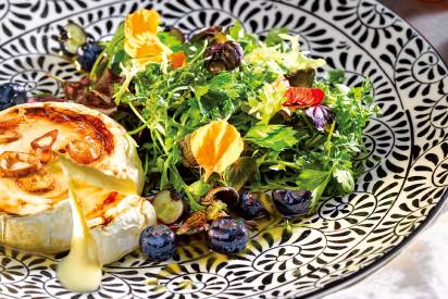 srd_header_krautersalat-mit-gegrilltem-camembert