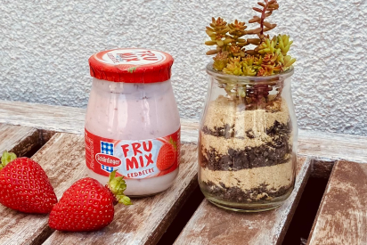 Sukkulent im Glas - Header