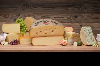 Das Bild zeigt verschiedene Schärdinger Käsesorten