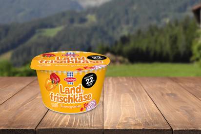 Das Bild zeigt den Schärdinger Landfrischkäse Sommergemüse