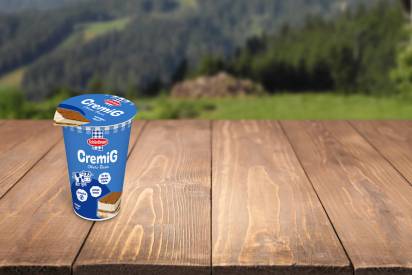 Schärdinger CremiG Natur im 250 Gramm Becher auf einem Holzuntergrund