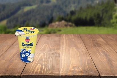 Schärdinger CremiG Vanille im 250 Gramm Becher auf einem Holzuntergrund