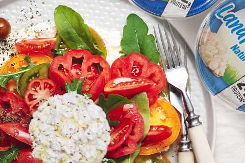 Bunter Tomatensalat auf Cottage  Cheese  
