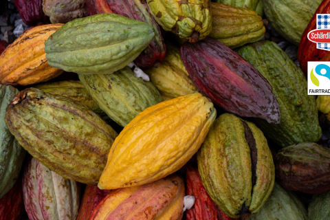 Fairtrade Header Startseite