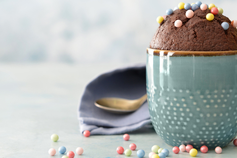 srd_schoko-tassenkuchen_header.jpg