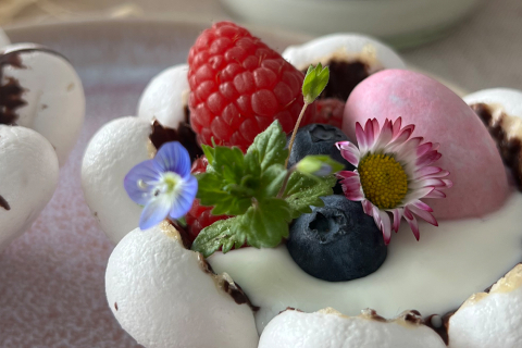 srd_header_rezepte_sa_baisernester.jpeg