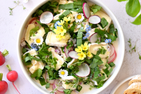 srd_camembert-salat-mit-fruhlingskrautern_header.jpg