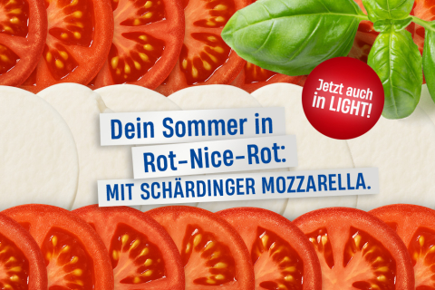 mozzi_Rotnr_header_mobile.jpg
