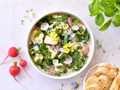 srd_camembert-salat-mit-fruhlingskrautern_teaser.jpg
