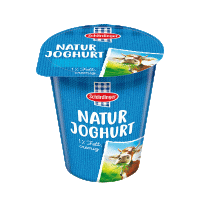 Naturjoghurt 1% 500 g Teaser