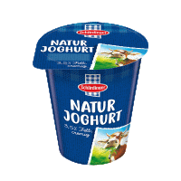 Naturjoghurt 3,5% 500 g Teaser