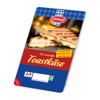 Toastkäsescheiben würzig Teaser