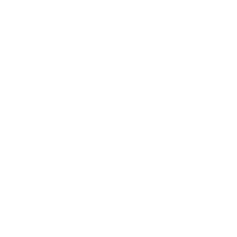 blank
